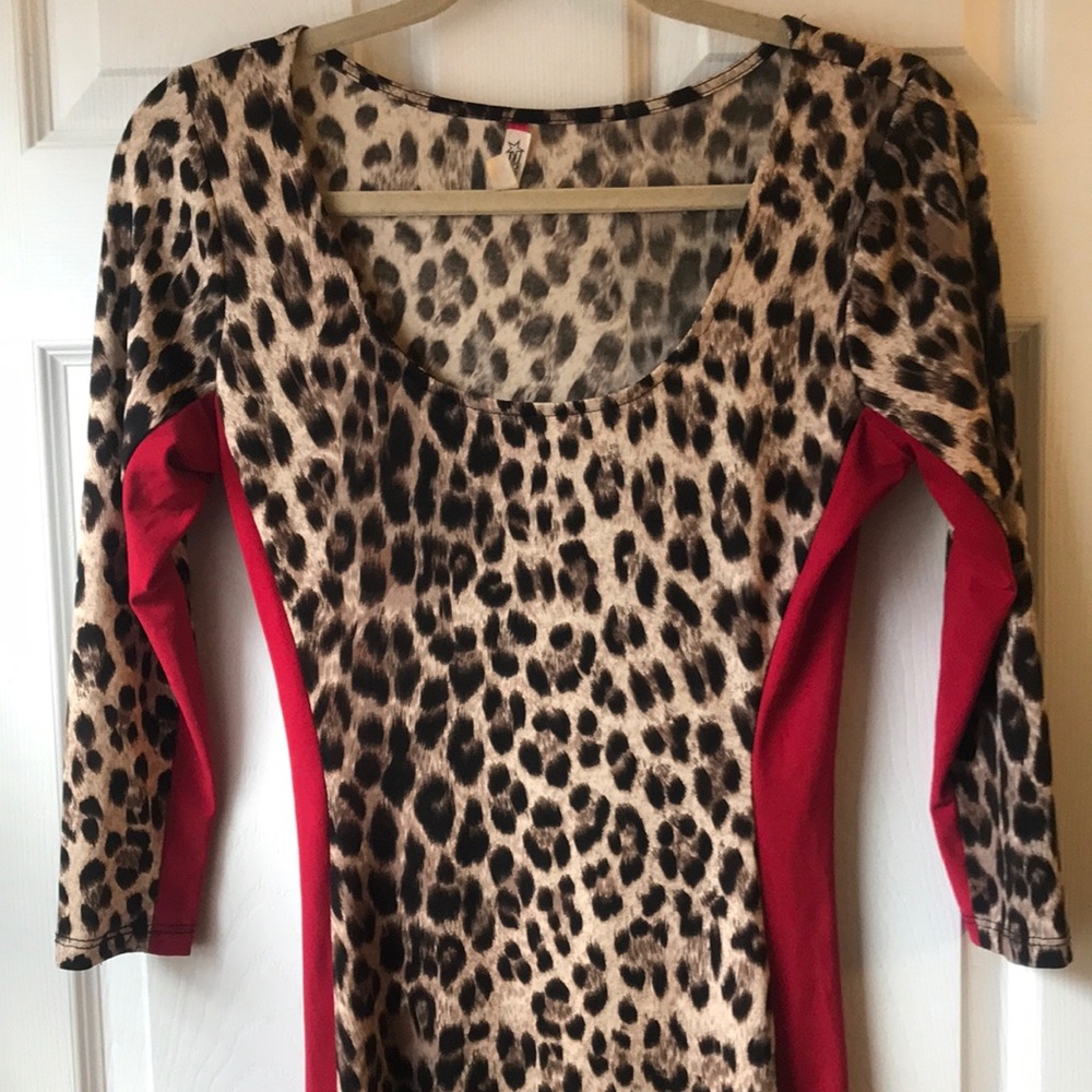 Leopard Print Dress